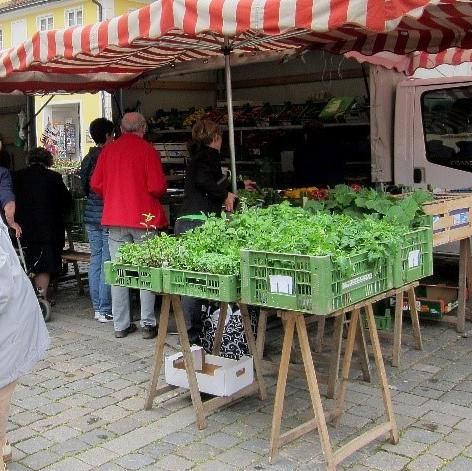 Wochenmarkt, Gemüse Bauer, Foto: Stadt Bad Windsheim